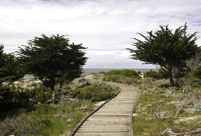 17-Mile Drive Self-Guided Audio Tour from Monterey & Carmel - What this Monterey and Carmel audio tour really offers
