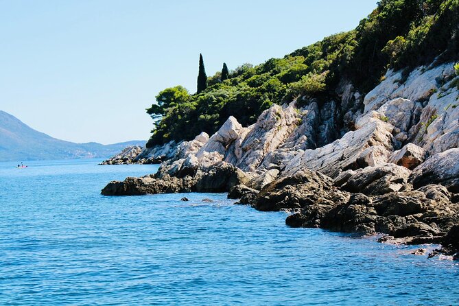 50-minute Panoramic Cruise of Dubrovnik with English Audio Guide - What the audio guide adds to the experience