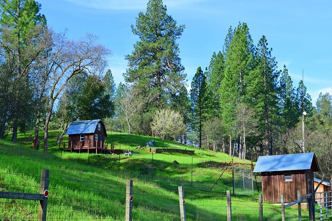 A Highway 49 Drive: A Self-Guided Audio Tour from Placerville to Jackson - How the VoiceMap format affects your day