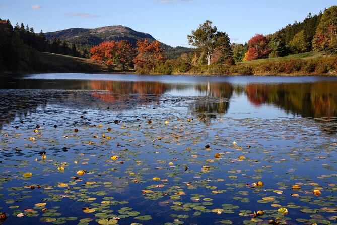 Acadia Mount Desert Island Self-Guided Driving Audio Tour - Echo Lake offers freshwater and a harder walk