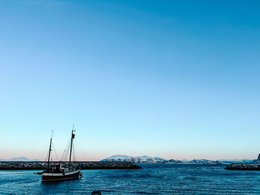 Ålesund: Ålesund and Surrounding Islands Audio Guide Tour - Key points to know before booking