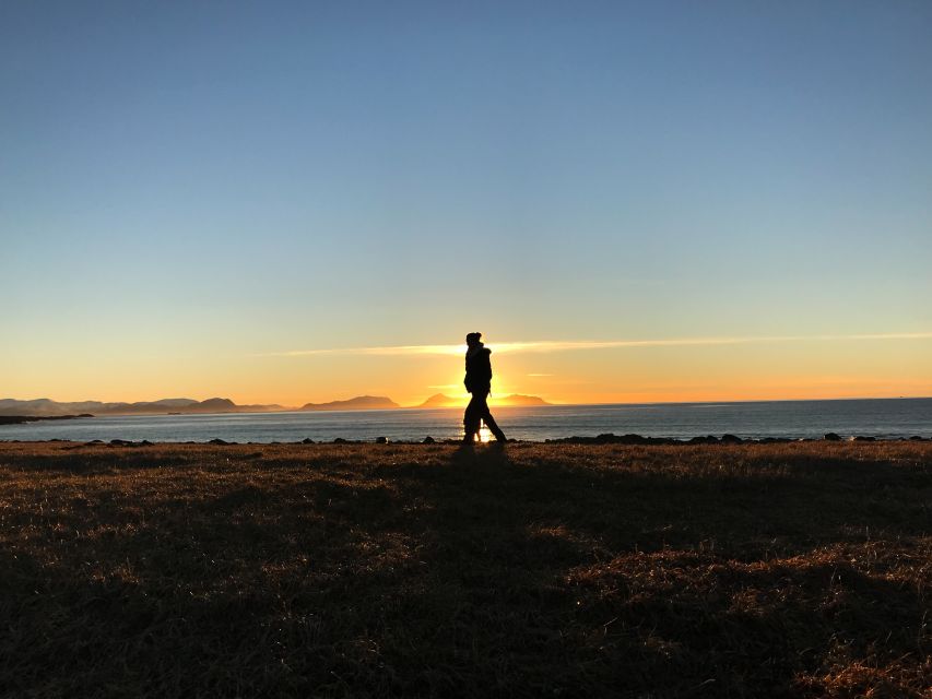 Ålesund: Ålesund and Surrounding Islands Audio Guide Tour - Is $136 a fair price for three hours?