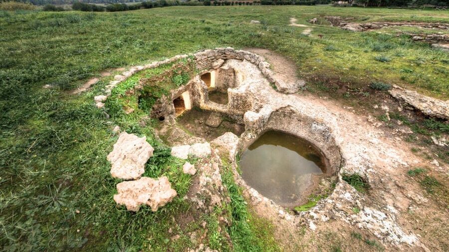 Alghero: Anghelu Ruju Necropolis with Audio Guides - Comfort, access, and small practical details
