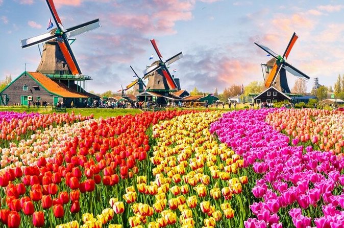 Amsterdam Self-Guided Audio Tour - Dam Square, the Royal Palace, and Anne Frank House