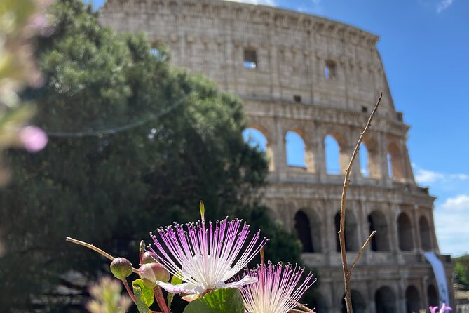 Ancient Rome: Colosseum + Digital Booklet and Audioguide - Palatine Hill and the Best Ancient Views