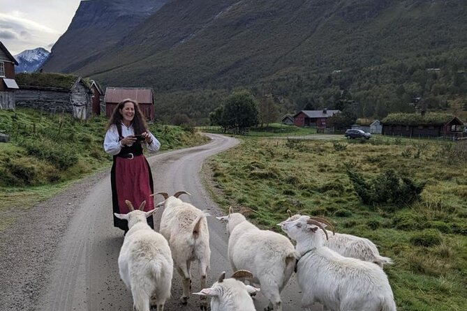 Audio-Guide Bus Tour at Scenic Routes of Åndalsnes to Trollstigen - Is $70.07 a fair price?