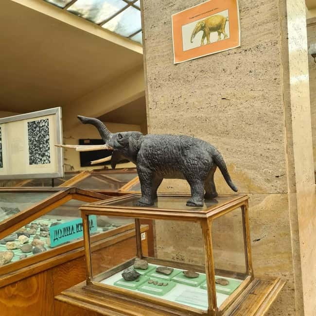 Audio Guide for Museum Paleontology and Historical Geology - Key Details Before You Go