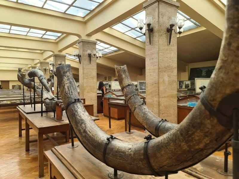 Audio Guide for Museum Paleontology and Historical Geology - Entering Sofia University’s Northern Wing