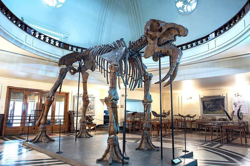 Audio Guide for Museum Paleontology and Historical Geology - The Seven-Meter Deinotherium Skeleton