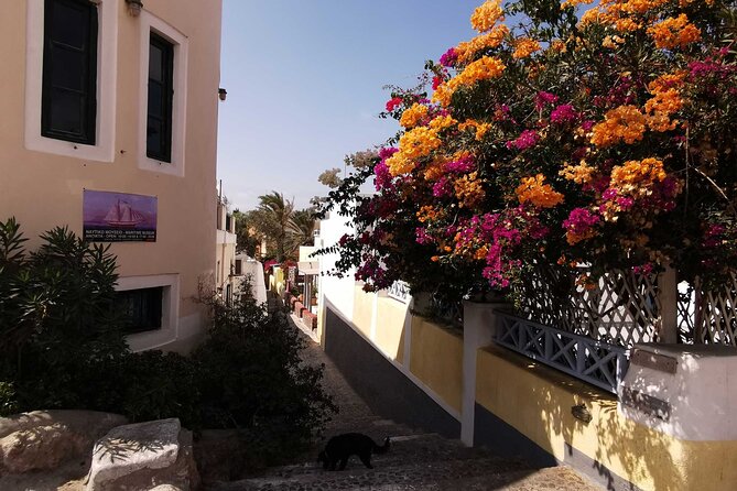 Authentic Santorini: A Self-Guided Audio Tour of Oia - Backroads, windmills, and a better view of Oia