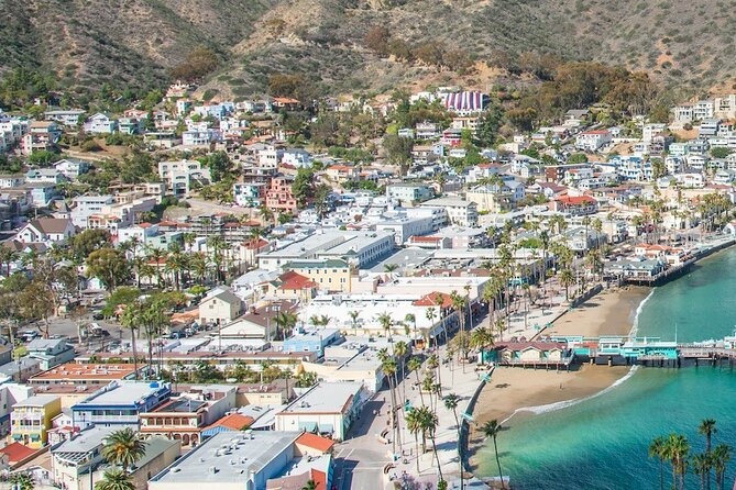 Avalon City: A Self-Guided Audio Tour - Who should choose this walk