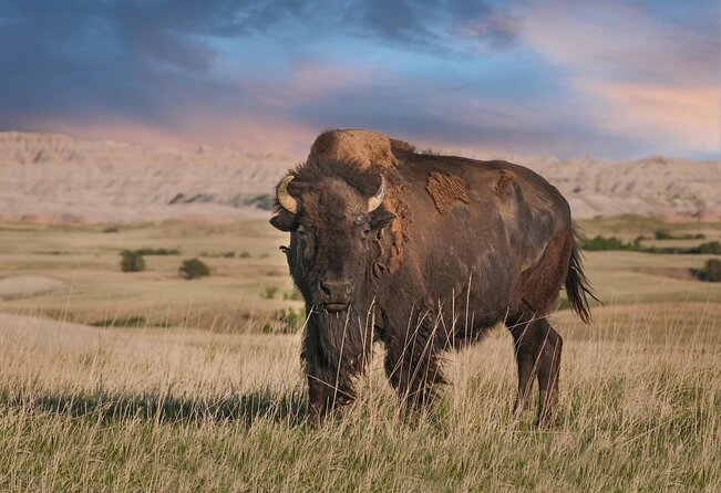 Badlands National Park Self-Guided Driving Audio Tour - Quick takeaways before you go