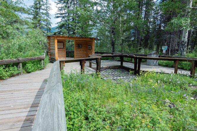 Banff Cave & Hot Springs Audio Walking Tour (Not a Ticket) - How the app works on the ground