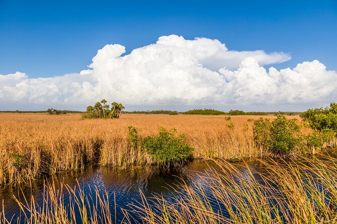 Big Cypress National Preserve Audio Tour Guide - Shark Valley requires extra planning