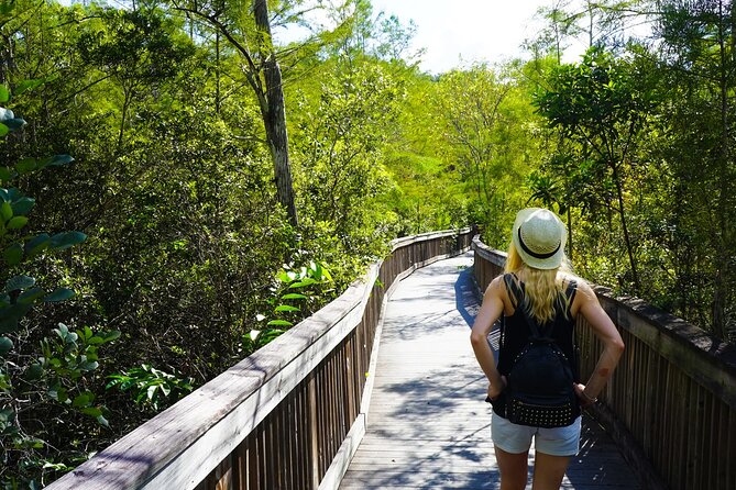 Big Cypress National Preserve Audio Tour Guide - Oasis Visitor Center and the demanding Gator Hook Trail