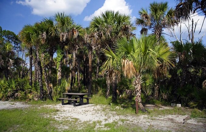 Big Cypress National Preserve Self Guided Driving Audio Tour - Key things to know before driving