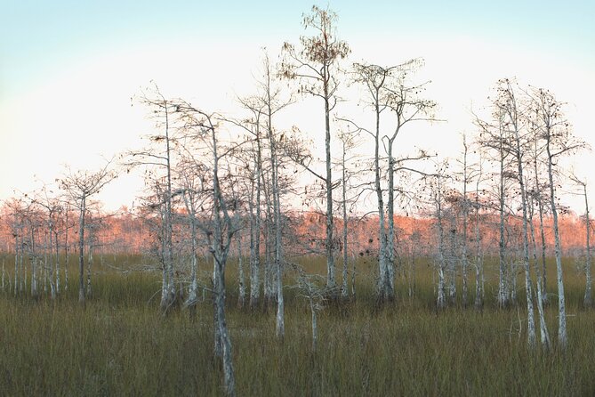Big Cypress National Preserve Self Guided Driving Audio Tour - Ochopee Post Office and the visitor center