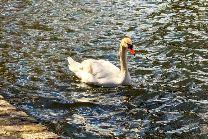 Brooklyn’s Oasis: Audio Guide to Prospect Park - Beginning at the John Fitzgerald Kennedy Memorial