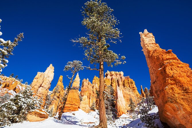 Bryce Canyon National Park Self-Guided Driving Audio Tour - Swamp Canyon and the Butch Cassidy story