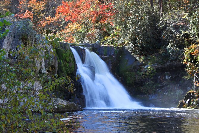 Cades Cove Sightseeing Self-Guided Driving Audio Tour - The John Oliver Cabin begins the human story