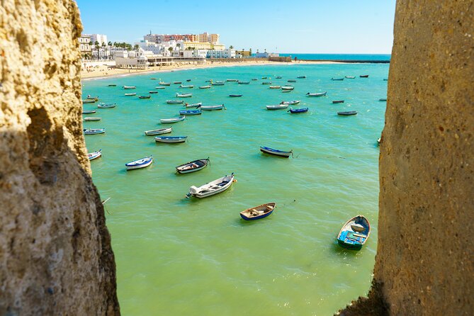 Cadiz: City Walk with Audio Guide in 7 Languages on your Phone - The Cathedral of Cádiz and its golden dome