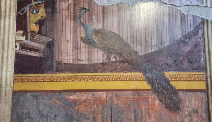 Campania: Pompei+Herculaneum+Vesuvius audio guide - The app experience: helpful idea, uneven execution