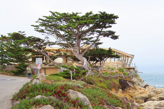 Carmel Point: A Self-Guided Audio Tour - Key points about the Carmel Point walk