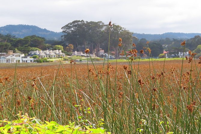 Carmel Point: A Self-Guided Audio Tour - Carmel River State Beach and the open coast