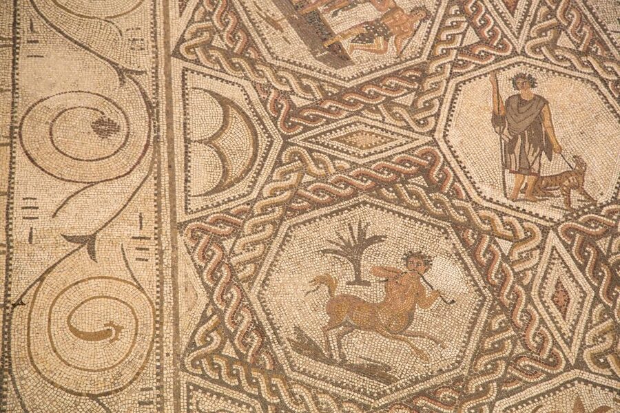 Casa de Salinas Entry Ticket with Audio Guide - The Roman Mosaic and Its Bacchanalian Scene