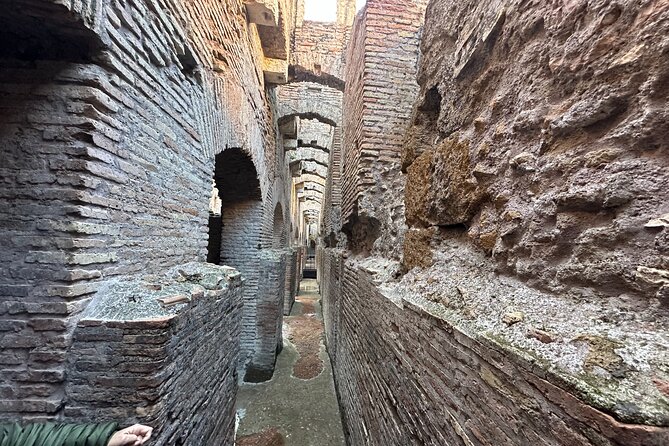 Colosseum Arena Digital audio Guided tour & Forum palatine entry - Is the price good value?