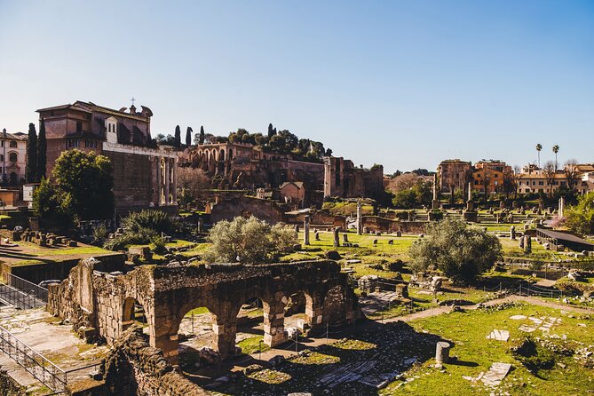 Colosseum,Arena,Palatine Hill & Roman Forum with Audio Guide App - What this Colosseum experience really is