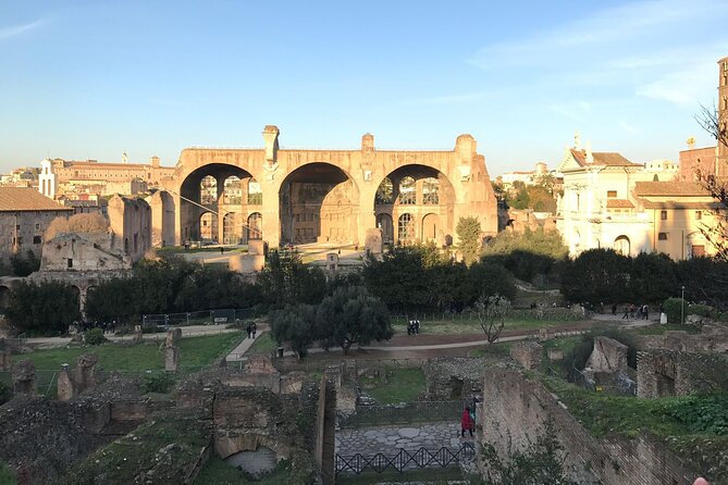 Colosseum, Forum, Palatine Hill with audio guide and Arena or Bus option - Palatine Hill and the best views