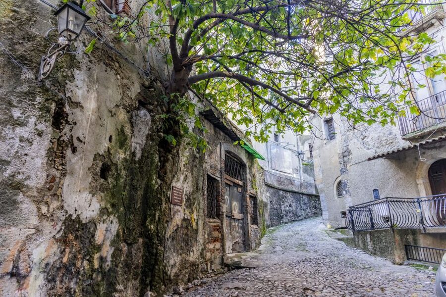 Cosenza: Audio Guide of the Historic Center - Who Should Choose This Cosenza Walk?