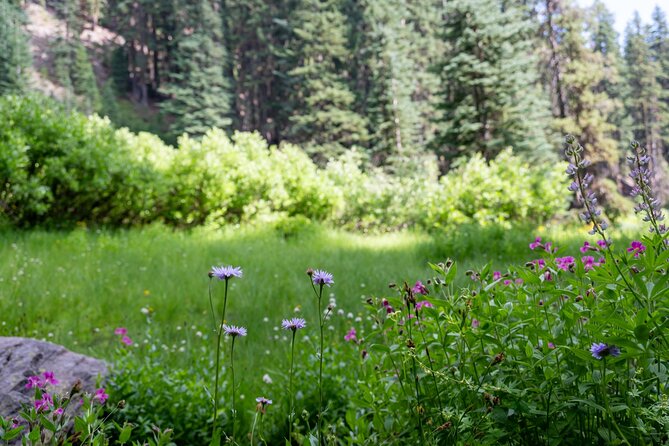 Crater Lake National Park Self-Guided Audio Tour - Rim Village brings the big lake view
