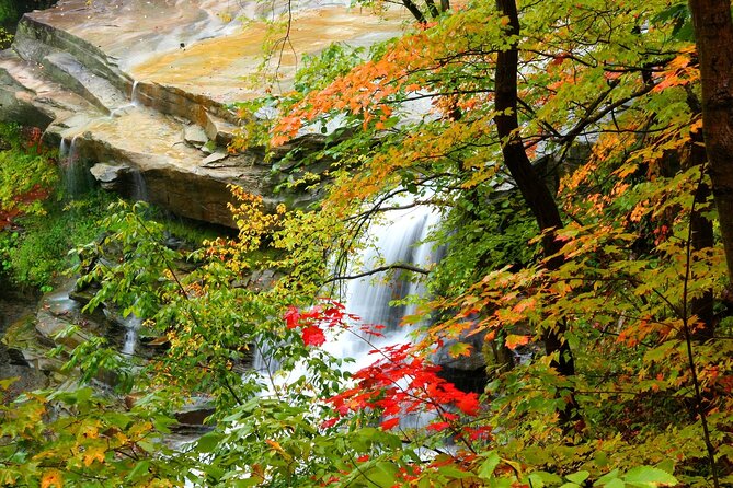 Cuyahoga Valley National Park Self-Guided Audio Tour - Key things to know before you go