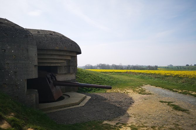 D-Day private tour Omaha Beach from Caen with audio guide. - Timing, comfort, and practical limits