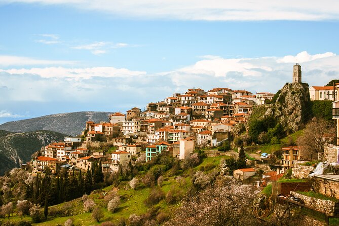 Delphi full day V.R audio guided tour with entry ticket - What the $36.30 price really gets you
