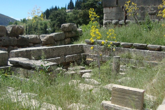 Delphi Self-guided Audio Tour on Your Phone (no ticket) - Continuing into the Archaeological Museum