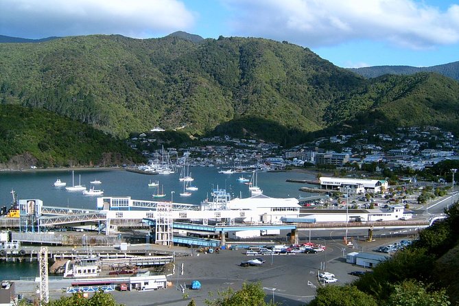 Discover Picton: Self-Guided Audio Tour - Key points at a glance