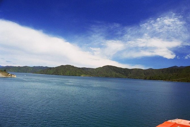 Discover Picton: Self-Guided Audio Tour - Edwin Fox and Picton’s seafaring world
