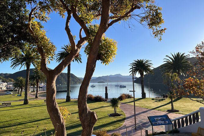 Discover Picton: Self-Guided Audio Tour - Māori history and the seaside setting