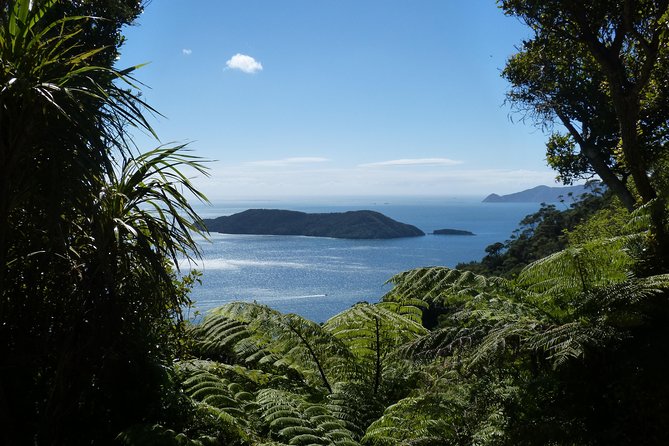 Discover Picton: Self-Guided Audio Tour - The app test you should perform before leaving