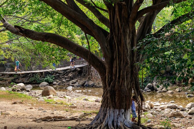 Discover Puerto Vallarta: Audio Walking Self-Guided Tour - Hacienda San Angel and Gringo Gulch