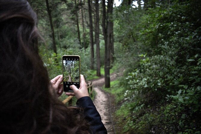 Discover the Lake Agnes Tea House Trail with an Audio Nature Tour - Reaching the Lake Agnes Tea House