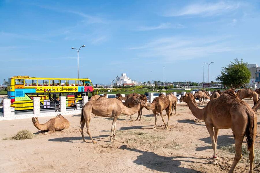 Doha: 24-Hour Hop-On Hop-Off Bus Ticket with Audio Guide - Souq Waqif: begin where old Doha feels most real