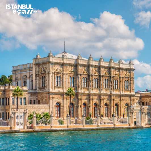 Dolmabahce Palace & Harem Skip-the-Line Entry & Audio Guide - The audio guide and the first rooms