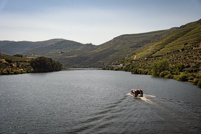 Douro Valley: Rabelo Boat Tour with Port Wine & Audio Guide - Key points before you book