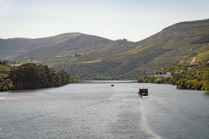Douro Valley: Rabelo Boat Tour with Port Wine & Audio Guide - Quinta do Bomfim and the making of Dow’s Vintage Port