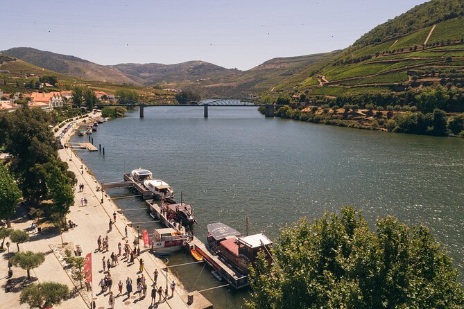 Douro Valley: Rabelo Boat Tour with Port Wine & Audio Guide - The Tua Dam and modern Douro engineering
