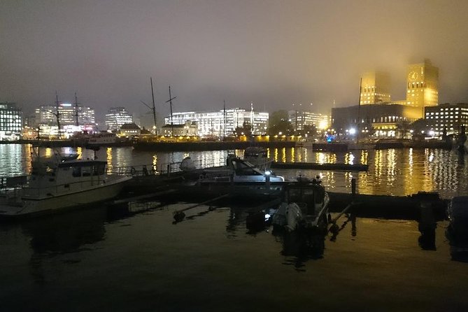 Downtown Oslo: Self-Guided Highlights and History Audio Tour - The Royal Palace park and its 1840s design